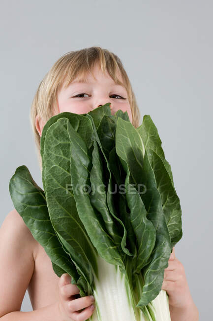 Boy with chinese cabbage — Stock Photo