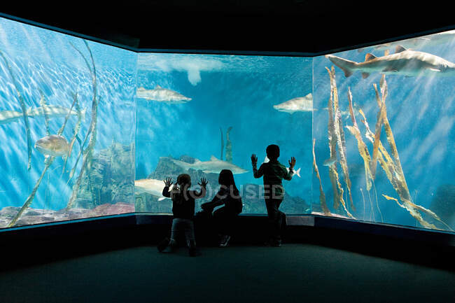 Дети смотрят рыбу в аквариуме — стоковое фото
