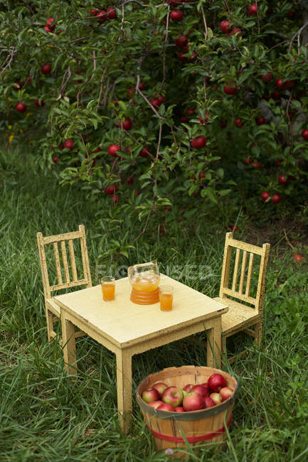 Table and chairs with fresh apple juice — Stock Photo