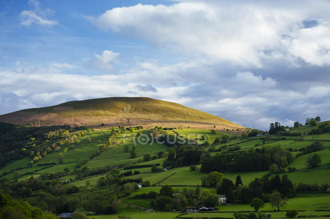Зелена долина з хатинами під блакитним хмарним небом — стокове фото