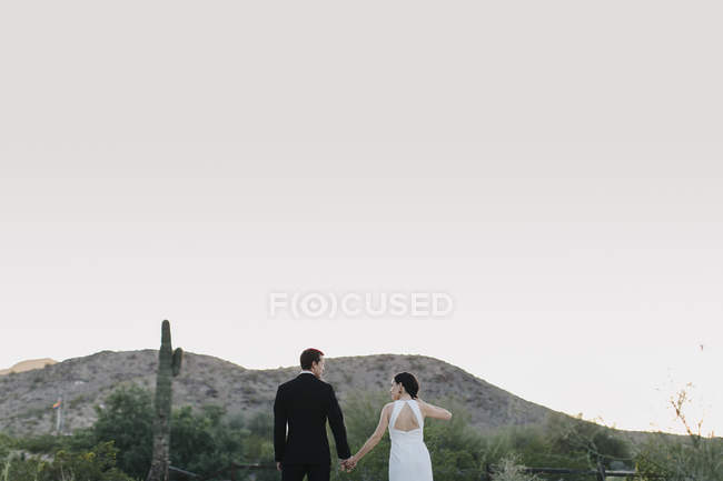 Mariée et marié dans un paysage aride, tenant les mains vue arrière — Photo de stock