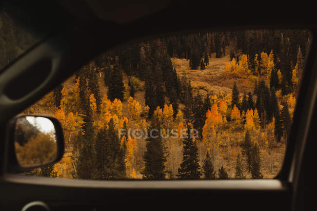Car window view on autumnal forest — Stock Photo