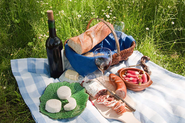French products and wine bottle on picnic blanket — Stock Photo