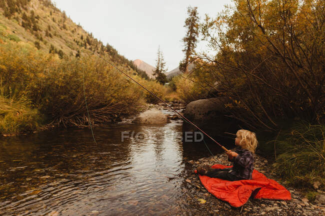 Pez chico al lado de creek, Rey Mineral, Parque Nacional Sequoia, California, Estados Unidos. - foto de stock