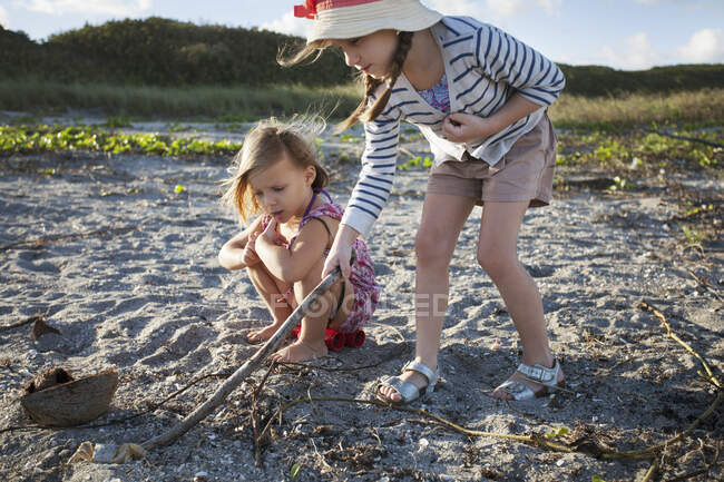 Chicas que buscan conchas en la playa, Blowing Rocks Preserve, Jupiter, Florida, Estados Unidos - foto de stock