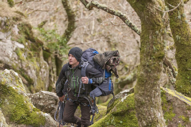 Jeune homme randonnée à travers la forêt avec sac à dos — Photo de stock