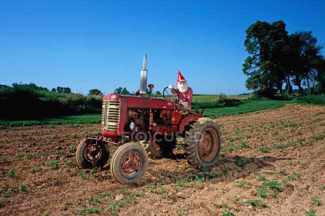 Gnome on a tractor — Stock Photo