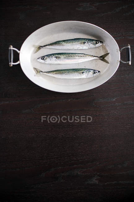 Three fresh fishes in a dish on table — Stock Photo