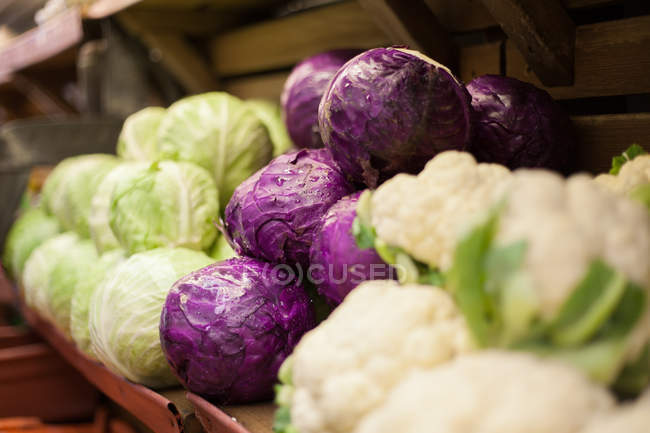 Row of fresh cauliflowers and cabbages on shelf — Stock Photo