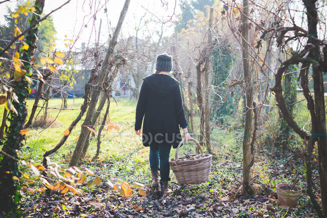 Full length rear view of young woman in garden walking among trees carrying wickerwork basket — Stock Photo