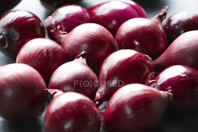 Cebollas rojas enteras frescas en la mesa - foto de stock