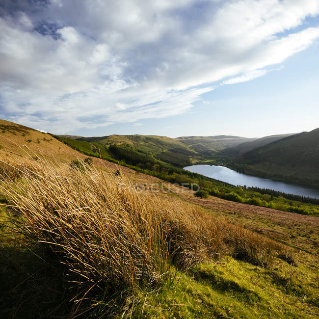 Talybont Reservoir und Glyn Collwn Valley, Brecon Beacons Nationalpark, Wales, Großbritannien — Stockfoto