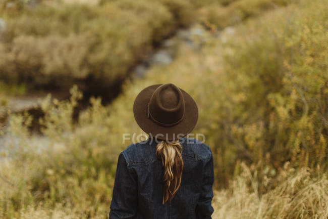 Femme debout près du ruisseau, vue arrière, Roi Minéral, Parc National Sequoia, Californie, États-Unis — Photo de stock