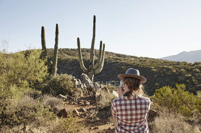 Mulher fotografando cactos Sedona, Arizona, EUA — Fotografia de Stock