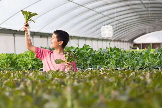 Boy holding up plants in nursery, smiling — Stock Photo