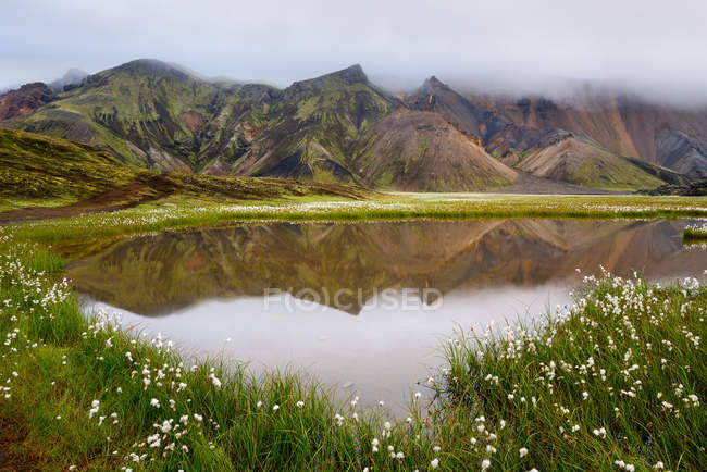 Flores silvestres florecientes y montañas que se reflejan en el agua del lago - foto de stock