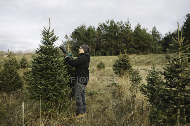 Homem escolhendo árvore na fazenda árvore de Natal, Cobourg, Ontário, Canadá — Fotografia de Stock