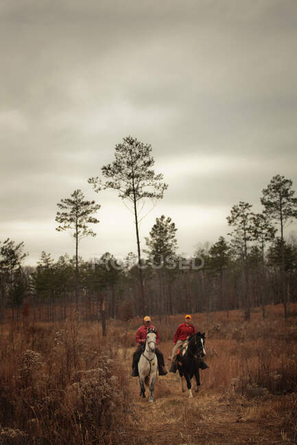 Two hunters on horseback — Stock Photo