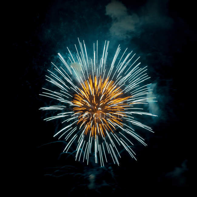 Фейерверки, взрывающиеся в ночном небе — стоковое фото
