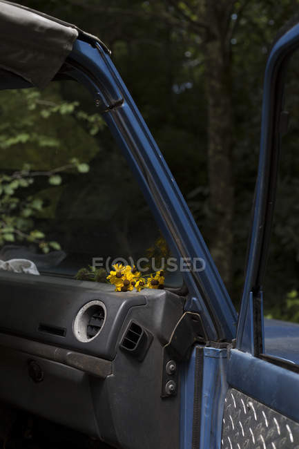 Yellow flowers under windshield — Stock Photo