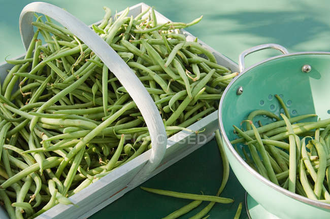 Haricots verts frais en passoire et panier — Photo de stock