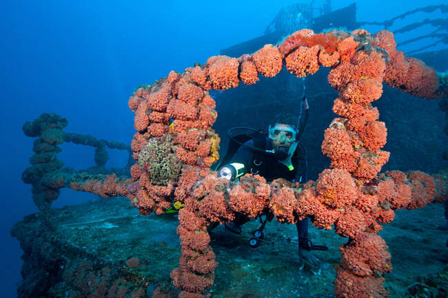 Immersione subacquea sul naufragio — Foto stock