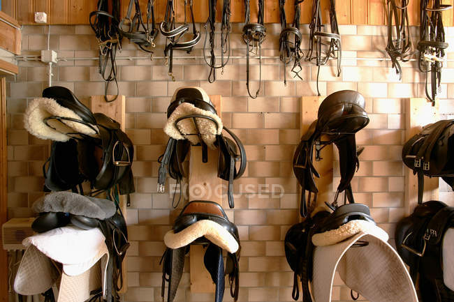Riding tack hanging on wll — Stock Photo