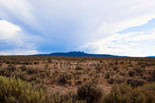 Berge mit Blick auf trockene Wüstenlandschaft — Stockfoto