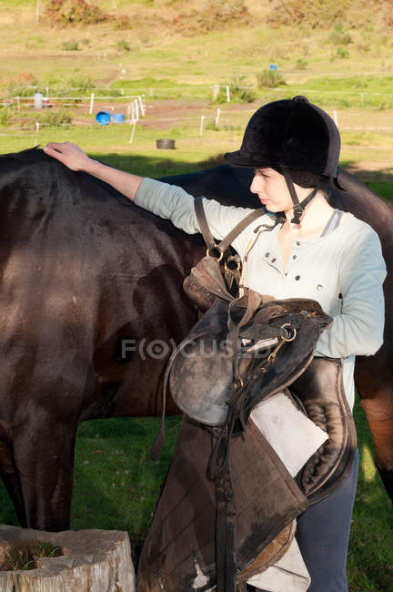 Young woman patting horses back — Stock Photo