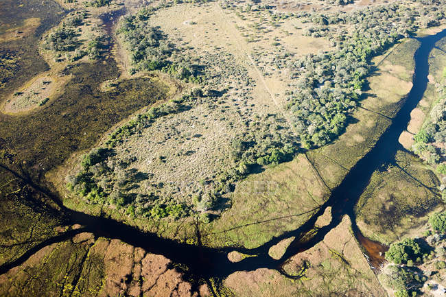 Delta del Okavango fuera de Maun - foto de stock