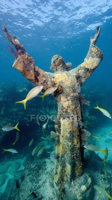 Statue of jesus christ under water with schooling fish — Stock Photo