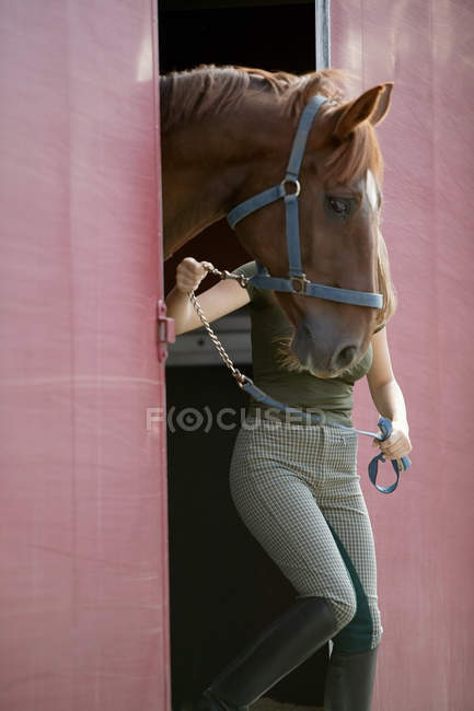 Mulher levando cavalo para fora do estábulo — Fotografia de Stock