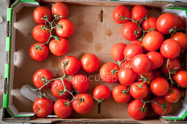 Вид зверху на стиглі помідори в картонній коробці — стокове фото