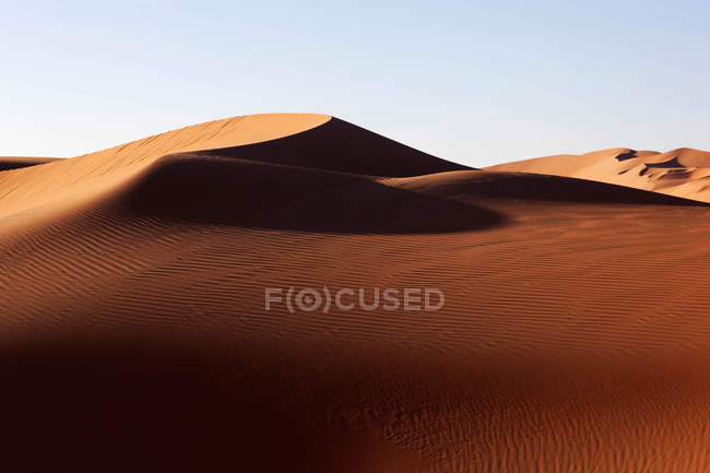 Wüstensanddünen unter blauem Himmel — Stockfoto