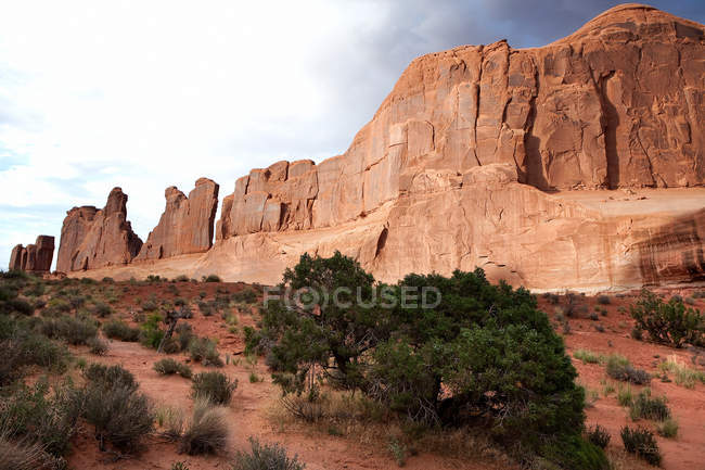 Красные скалы и кусты под облачным небом — стоковое фото
