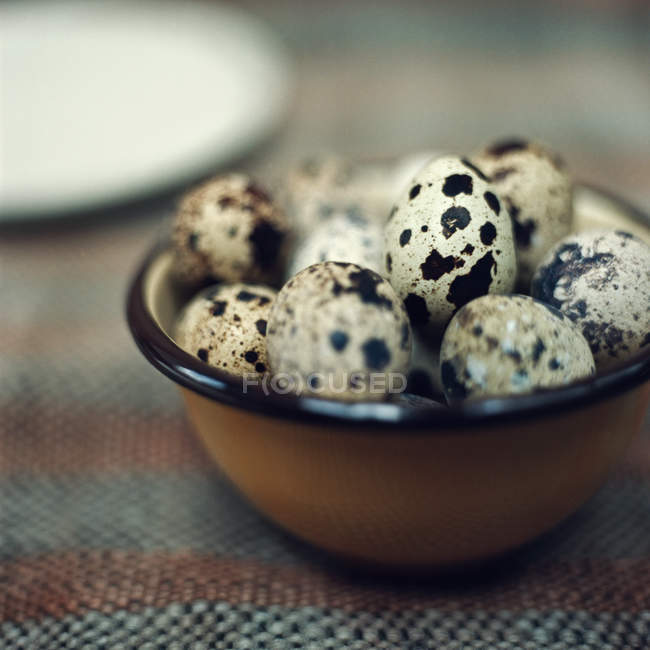 Quail eggs in vintage metal bowl — Stock Photo