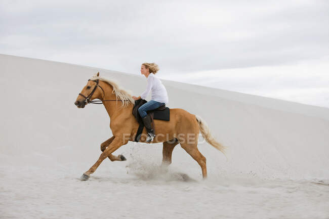 Девушка верхом на лошади на пляже — стоковое фото