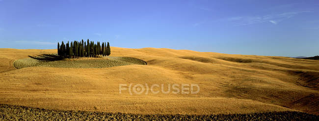 Scenic view of Orcia valley in summer — Stock Photo