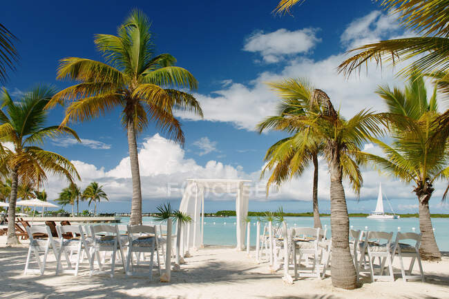 Palmen und Stühle im Strandresort Providenciales, Turks- und Caicosinseln, Karibik — Stockfoto