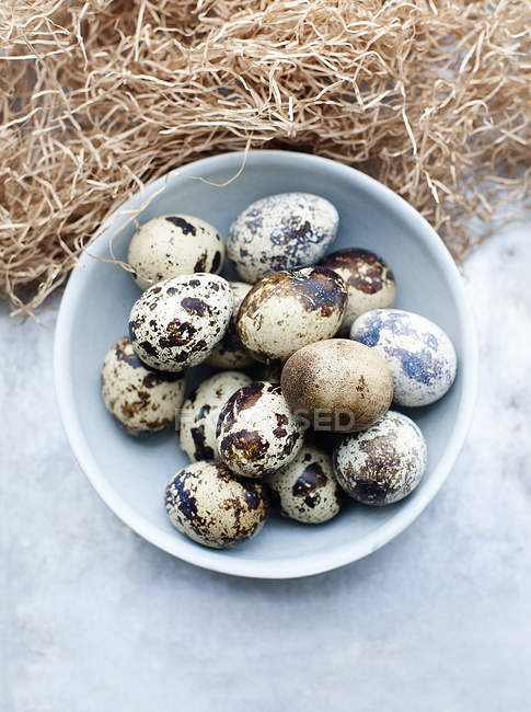 Ovos de codorna em tigela na mesa de madeira azul — Fotografia de Stock