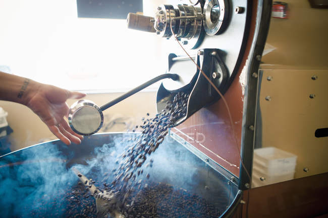 Main féminine utilisant une machine de torréfaction de café industrielle dans le café — Photo de stock