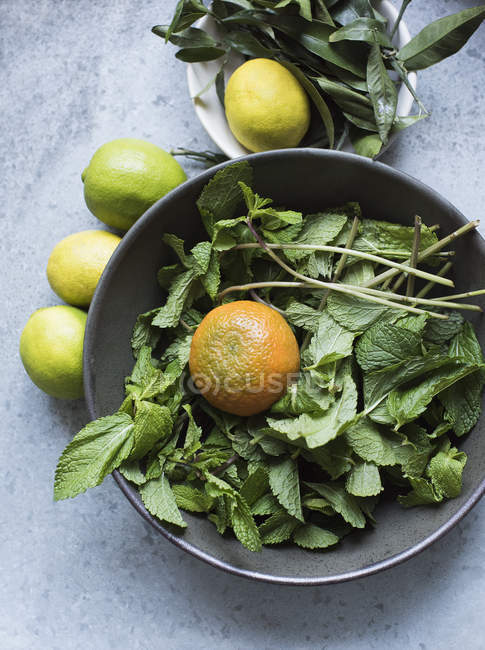 Top view of mint leaves and citrus fruit in bowl and on table — Stock Photo