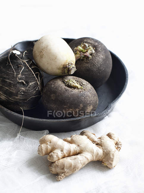 Jengibre de raíz y nabos blancos y negros en la sartén - foto de stock
