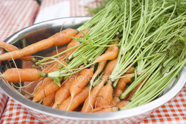Bowl of fresh picked carrots with leaves — Stock Photo
