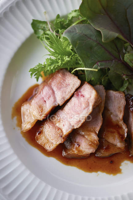 Nahaufnahme des Tellers mit geschnittenem Fleisch und Salatmischung — Stockfoto
