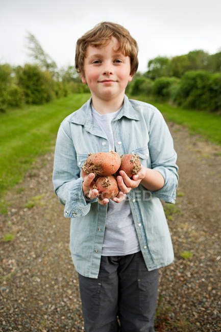 Boy with handful of potatoes — Stock Photo