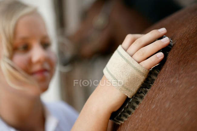 Jeune femme toilettage cheval — Photo de stock
