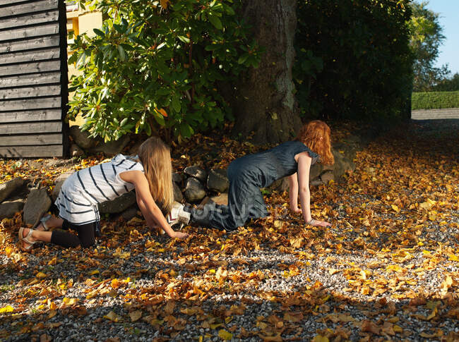 Друзі повзають на осіннє листя. — стокове фото