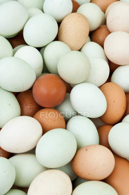 Куча различных яиц, вид сверху — стоковое фото