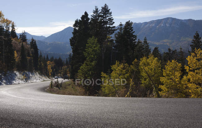 Estrada vazia e bosques em paisagem montanhosa, Utah, EUA — Fotografia de Stock